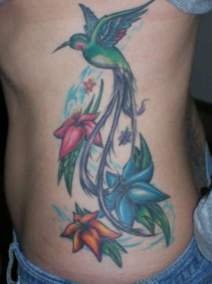 Hummingbird Tats Pics On Rib